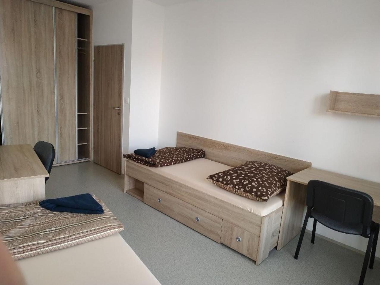 Ubytovaci Zarizeni Koleje Pedagog Ceske Budejovice Bagian luar foto
